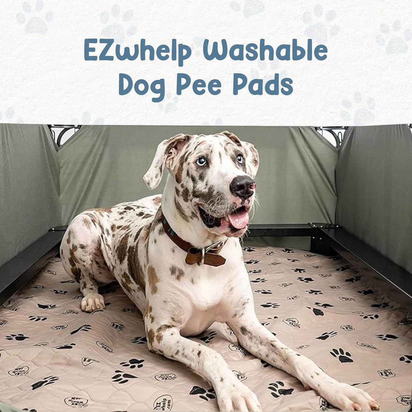 Premium Reusable Dog Pee Pads - Washable Waterproof Mats for Potty Training & Whelping - 24x36 Inch, 2 Pack with Rounded Corners