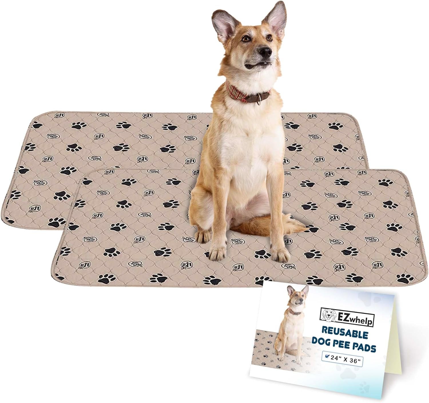 Premium Reusable Dog Pee Pads - Washable Waterproof Mats for Potty Training & Whelping - 24x36 Inch, 2 Pack with Rounded Corners