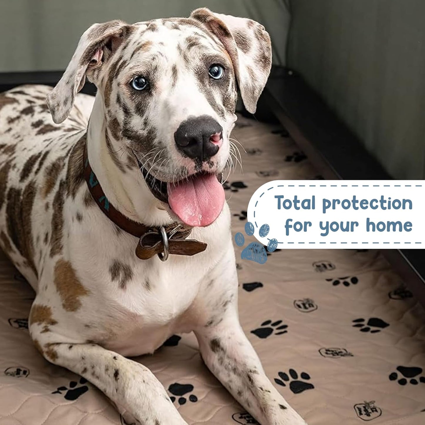 Premium Reusable Dog Pee Pads - Washable Waterproof Mats for Potty Training & Whelping - 24x36 Inch, 2 Pack with Rounded Corners