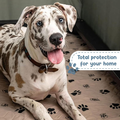 Premium Reusable Dog Pee Pads - Washable Waterproof Mats for Potty Training & Whelping - 24x36 Inch, 2 Pack with Rounded Corners